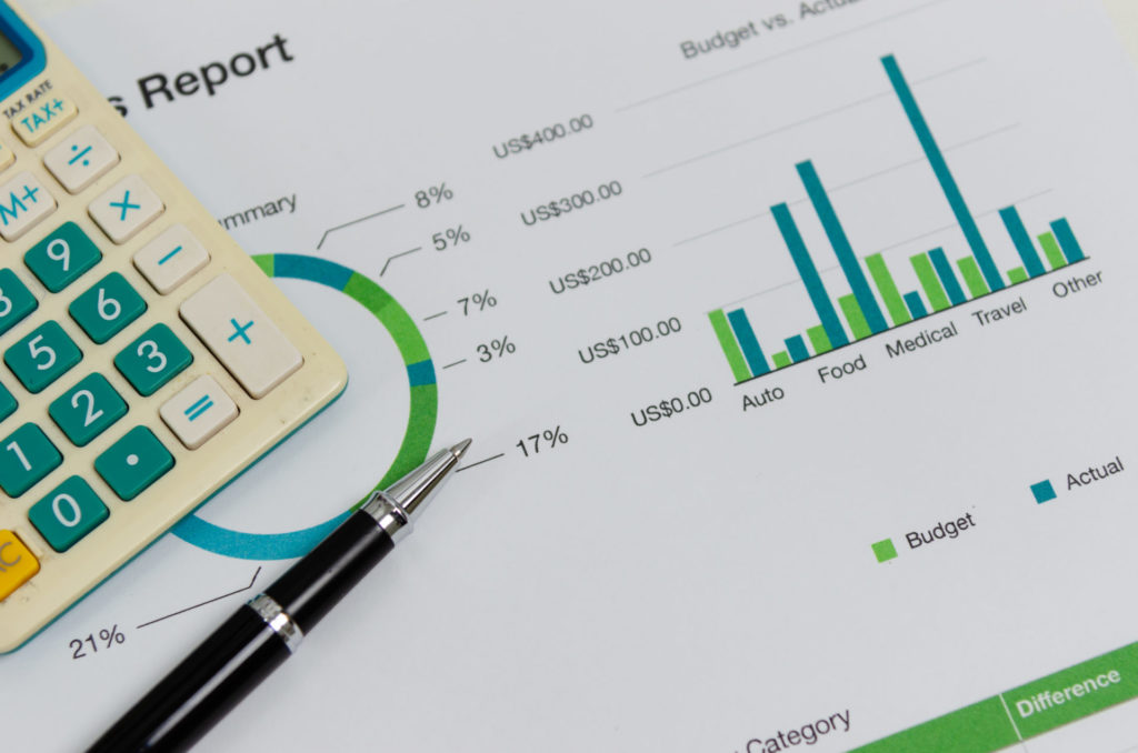 Profit & Loss Statement 