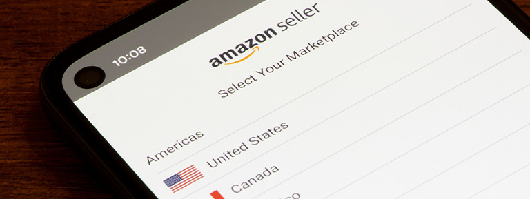 Amazon Professional Seller Account